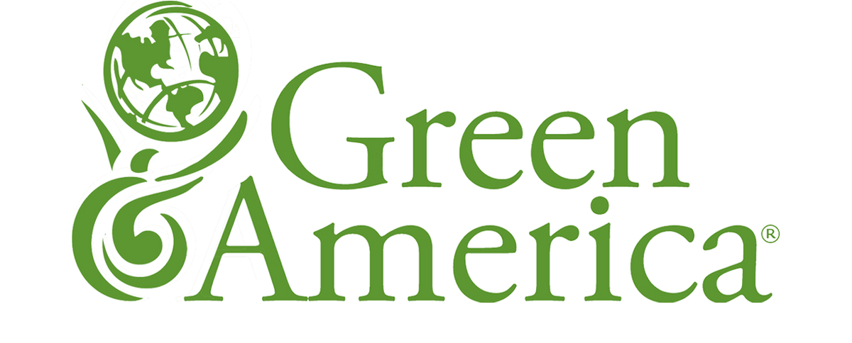 Natural Earth Paint Founder Interviews with Green America's Green Business Network!