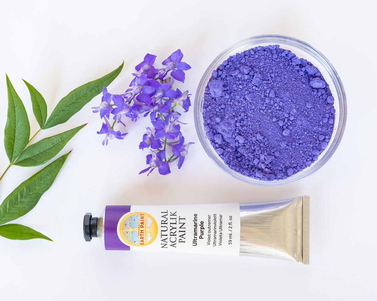 Image of natural acrylic paint beside matching color, ultramarine purple, of pigment and flowers