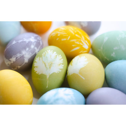 Natural Easter Egg Paint &amp; Dye Set