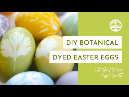Natural Egg Dye Kit