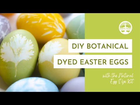 Natural Egg Dye Kit